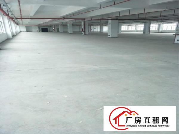 
		陈江13000平全新厂房独院，带国有红本
	