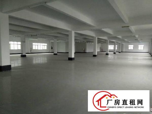 
		陈江新出3000平零公摊原房东厂房
	