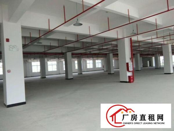 
		惠环惠城区三栋镇工业区独栋厂房出租19500平米
	