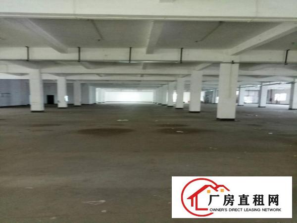 
		仲恺标准一楼3800平米，可分租
	