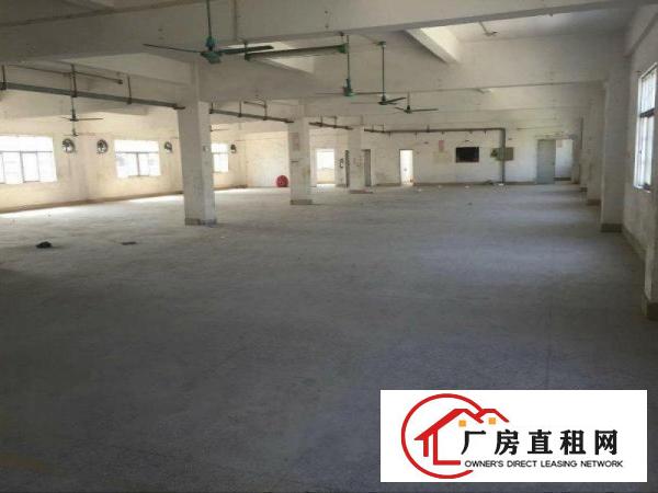 
		仲恺（花园式独院厂）房出租
	