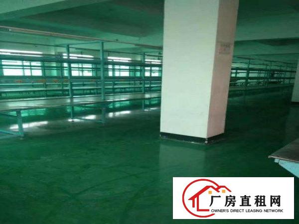 
		仲恺高新区新建标准厂房2到3万平大小可分租
	