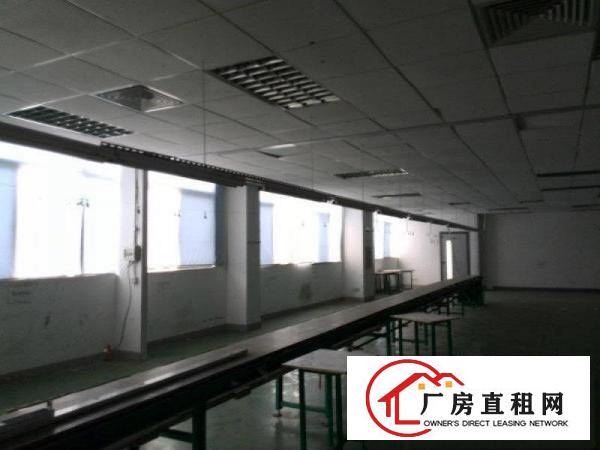 
		陈江带装修小厂房出租200到800平米
	