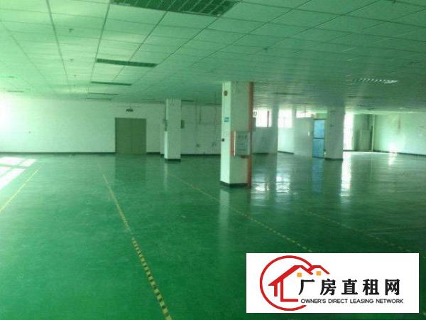 
		仲恺多个带装修电子,制衣,厂房出租
	