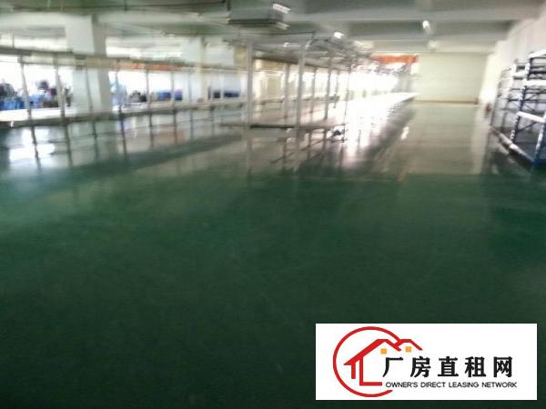 
		惠环标准厂房1350平方
	