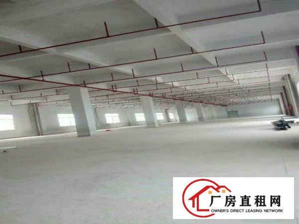 
		仲恺新出原房东2万平独院厂房招租（无公摊）
	