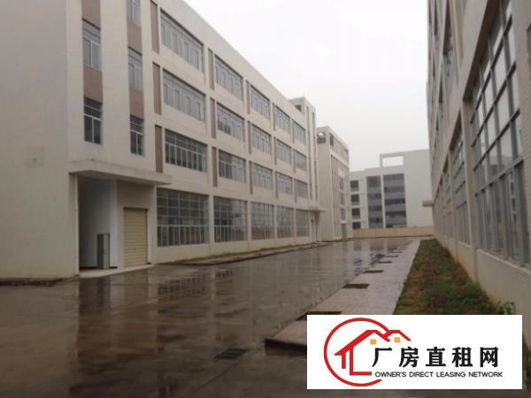 
		仲恺高新区厂房一楼1150平方，园区环境佳，形象好
	