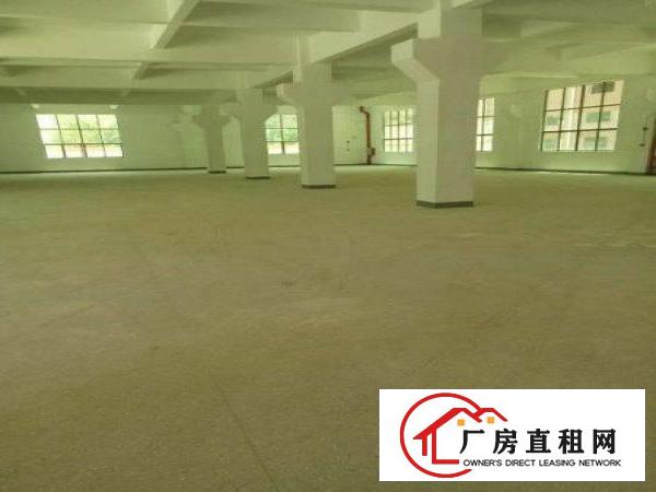 
		沥林独门独院形象好标准三层厂房6000平方
	