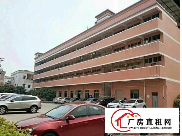 
		沥林独门独院形象好标准三层厂房6000平方
	