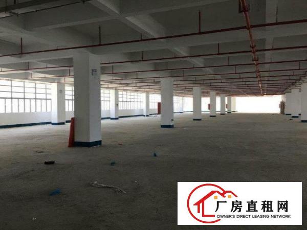 
		仲恺TCL旁一楼厂房出租2500平米层高6米
	
