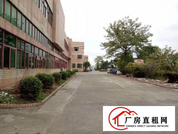 
		-----陈江标准厂房一楼1800平出租，高6米----
	