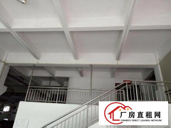
		-----陈江标准厂房一楼1800平出租，高6米----
	