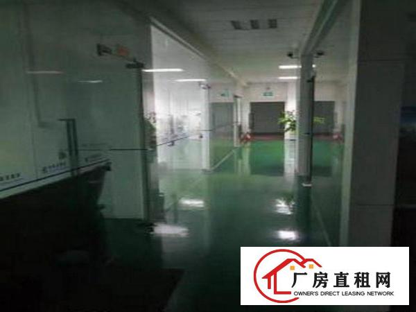 
		沥林新出楼上1000平厂房火爆招租
	