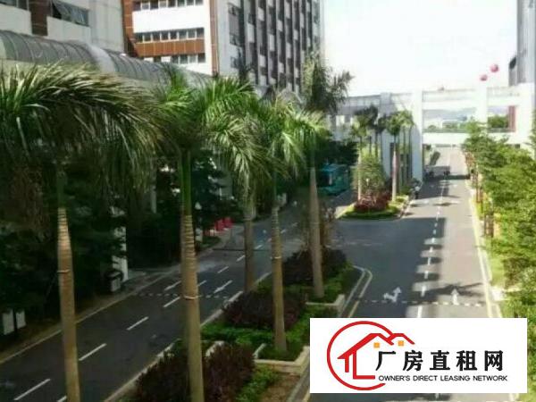 
		出租仲恺沥林电子厂房一楼1700平方
	