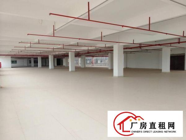 
		惠州市仲恺沥林高速路口12000平方全新标准厂房
	