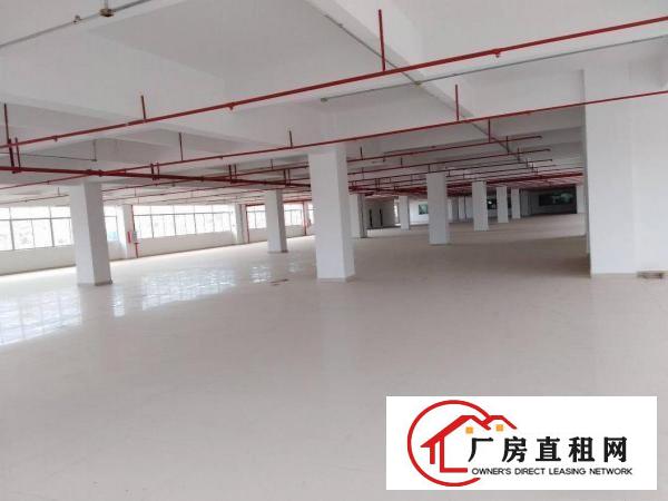 
		惠州市仲恺沥林高速路口12000平方全新标准厂房
	