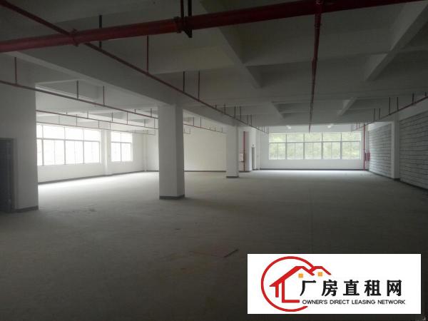 
		仲恺沥林高速路口全新厂房13500平方可分租
	