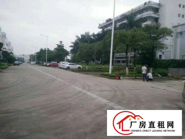 
		仲恺沥林新出原房东钢构厂房3100平米，12元招租
	