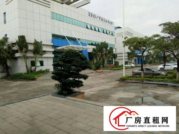 
		仲恺沥林新出原房东钢构厂房3100平米，12元招租
	