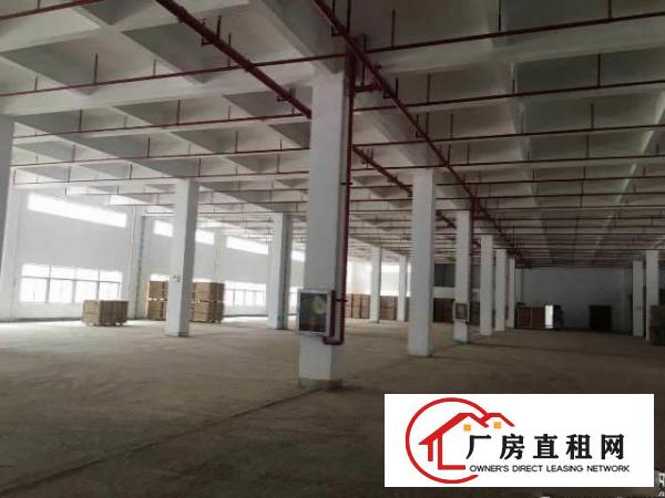 
		沥林镇全新红本标准厂房36000平方原房东
	