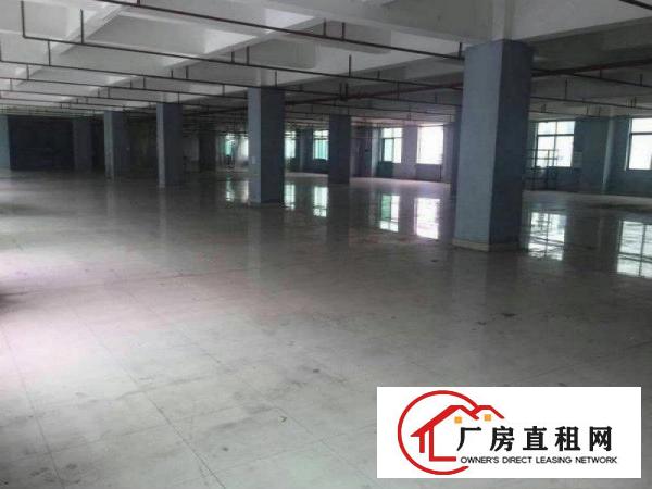 
		仲恺沥林有厂房面积2000平，带消防喷淋，有红本
	