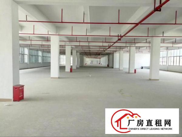 
		沥林高端高新科技园标准一楼2500平方厂房招租
	