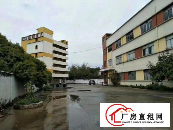
		沥林标准独院厂房5000平米出租（可分租）
	