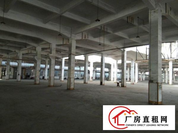 
		沥林工业区原房东独院标准厂房26600平方，高十米
	
