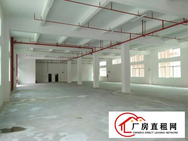 
		沥林工业区英光村独院全新标准厂房6750平招租
	