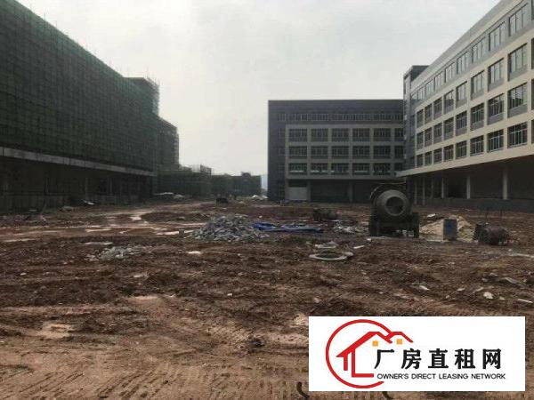 
		仲恺广东硅谷潼湖智慧区10万平红本厂房火爆招租
	