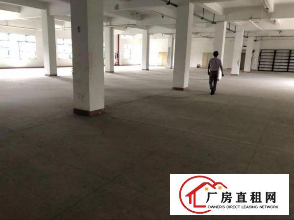 
		潼湖独院3600平米厂房
	