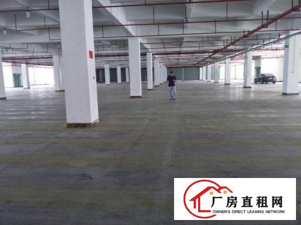 
		仲恺原房东全新标准厂房带消防喷淋6万分组
	