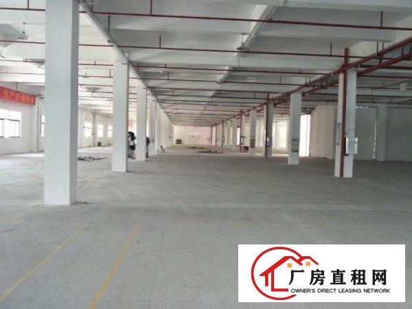 
		仲恺原房东全新标准厂房带消防喷淋6万分组
	