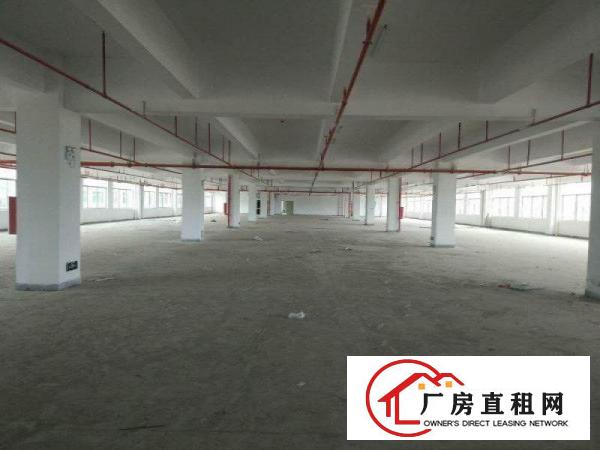 
		惠阳仲恺单一层钢构55000平方米适合污染企业厂房
	