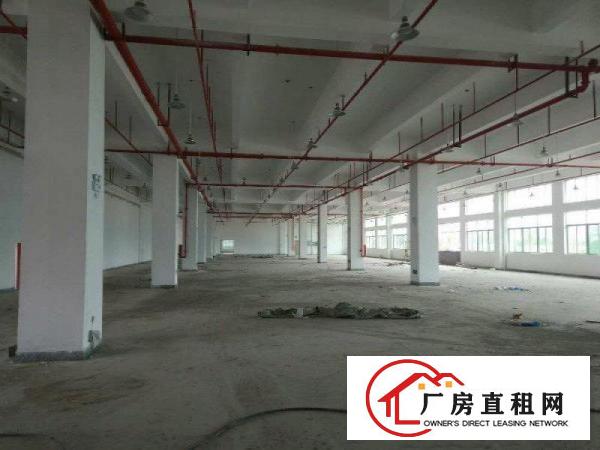
		惠阳仲恺单一层钢构55000平方米适合污染企业厂房
	