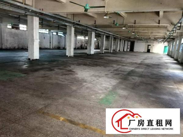 
		独门独院标准三层厂房4800平方
	