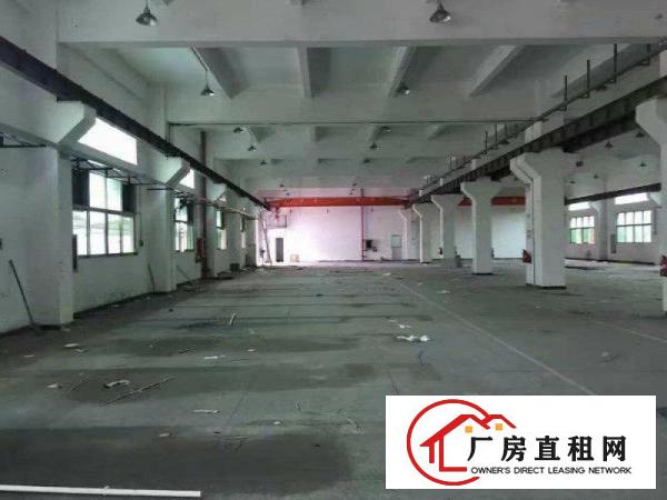 
		仲恺陈江高新园区红本喷淋6000平独院
	