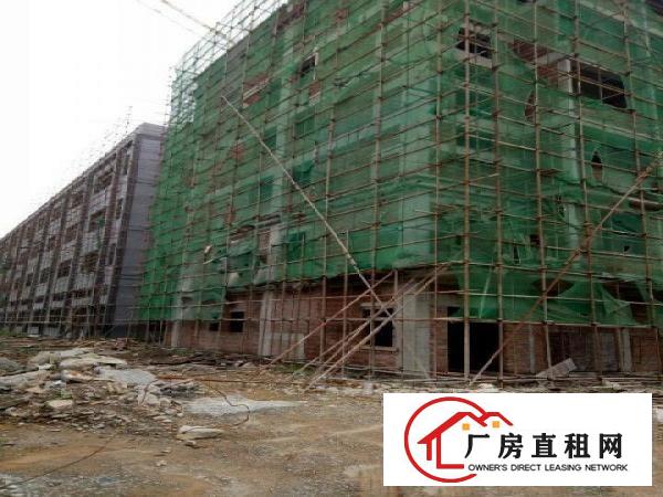 
		沥林沥林高速出口厂房31000平米
	