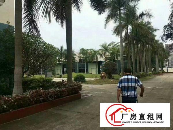 
		仲恺高新区潼侨10米高带5T行车钢构约2万平米出租
	