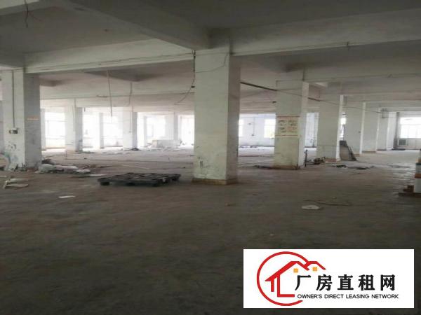 
		潼侨新华大道边独院厂房出租
	