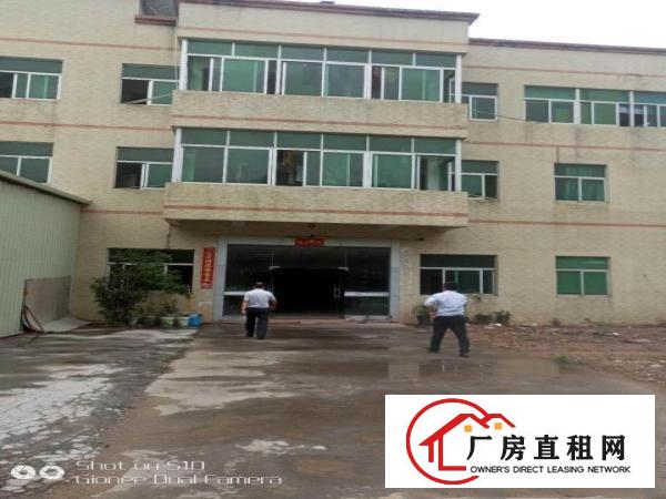
		潼侨原房东新建砖墙到顶独院8800平8米钢构
	