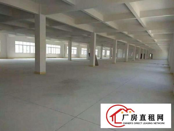 
		出租仲恺潼桥全新厂房
	