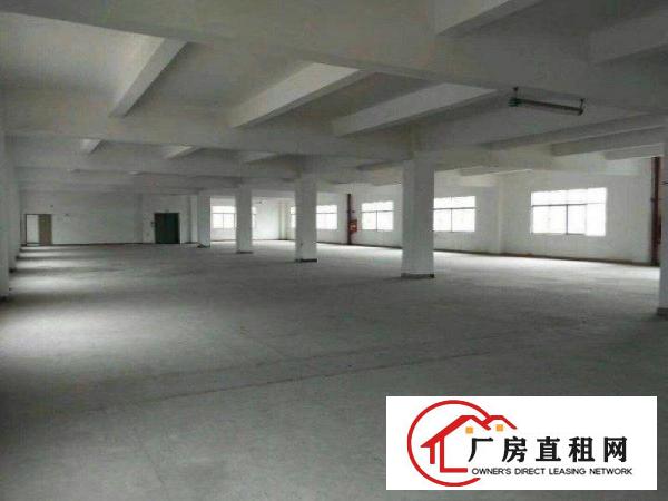 
		仲恺高新区超靓标准厂房12000可大小分租
	