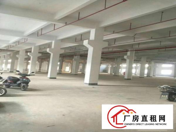 
		仲恺红本标准1楼6500平米有喷淋新厂房
	