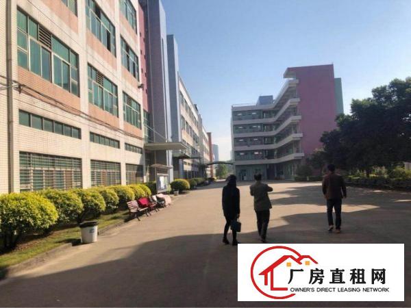 
		潼侨工业区独门独院带装修标准厂房14000平招租
	