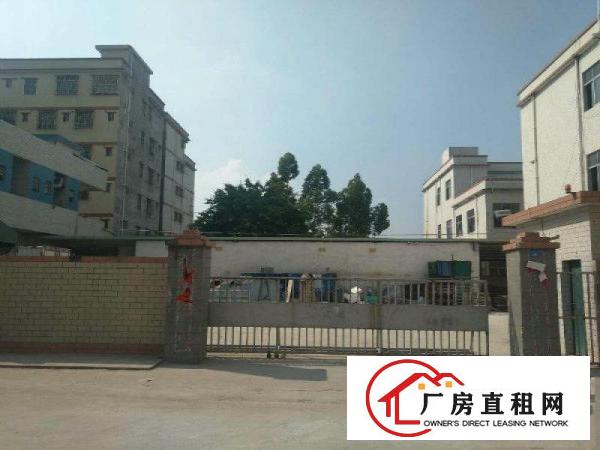 
		仲恺潼侨独院独院大路旁3300厂房招租，带国有证书
	
