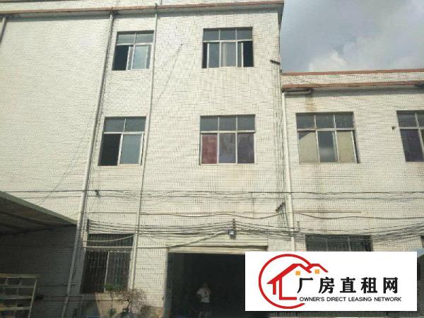 
		仲恺潼侨独院独院大路旁3300厂房招租，带国有证书
	