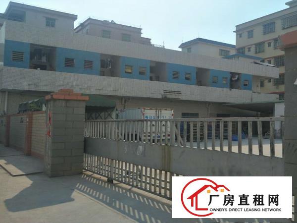 
		仲恺潼侨独院独院大路旁3300厂房招租，带国有证书
	