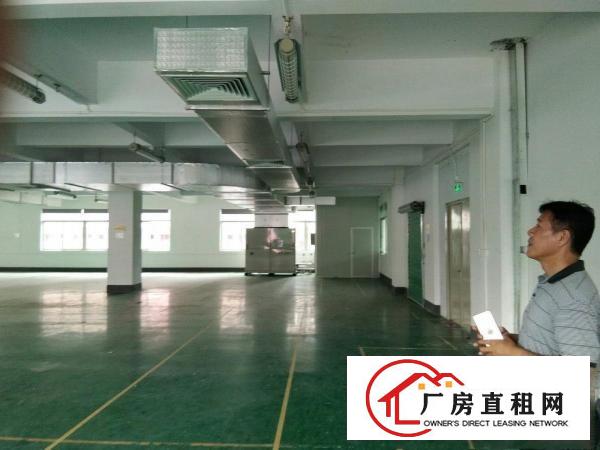 
		潼侨工业园公司自建独院标准厂房5400平对外招租
	