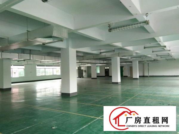 
		潼侨工业园公司自建独院标准厂房5400平对外招租
	
